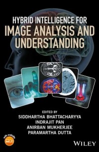 Группа авторов - Hybrid Intelligence for Image Analysis and Understanding