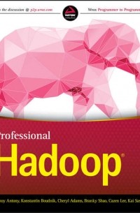 Benoy Antony - Professional Hadoop