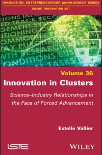 Estelle Vallier - Innovation in Clusters
