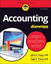  - Accounting For Dummies