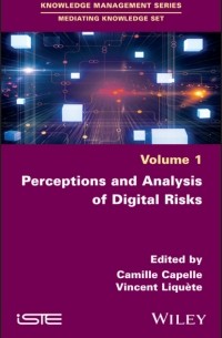 Группа авторов - Perceptions and Analysis of Digital Risks