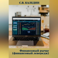 Сергей Каледин - Финансовый рычаг