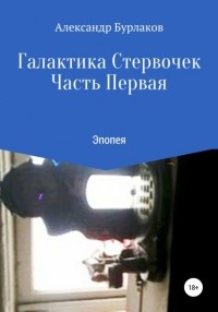 Александр Бурлаков - Галактика Стервочек. Часть Первая