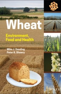  - Wheat