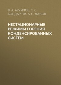 В. А. Архипов - Нестационарные режимы горения конденсированных систем