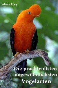 Die prachvollsten ungew?hnlichsten Vogelarten