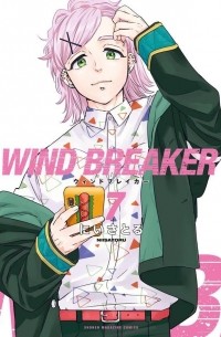 Wind Breaker 7