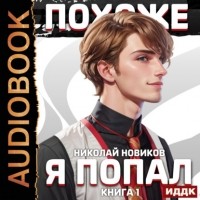 Николай Новиков - Похоже, я попал. Книга 1