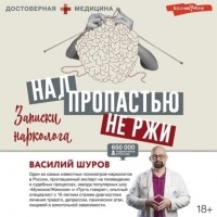 Василий Шуров - Над пропастью не ржи. Записки нарколога