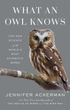Дженнифер Акерман - What an Owl Knows: The New Science of the World’s Most Enigmatic Birds