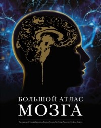 Коллектив авторов - Большой атлас мозга