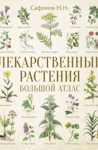 Лекарственные растения. Большой атлас