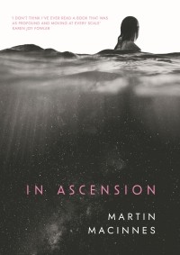 Мартин Макиннес - In Ascension