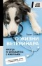 Стил Гарет - Никогда не связывайтесь с животными. О жизни ветеринара