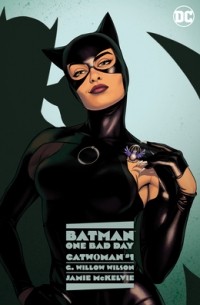  - Batman - One Bad Day: Catwoman
