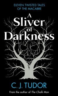 С. Дж. Тюдор - A Sliver of Darkness