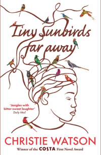Кристи Уотсон - Tiny Sunbirds Far Away