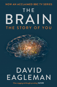 Дэвид Иглмен - The Brain. The Story of You