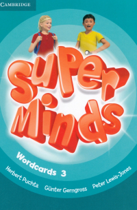  - Super Minds. Level 3. Wordcards. Pack of 83