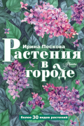 Растения в городе