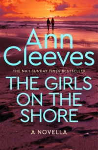 Энн Кливз - The Girls on the Shore