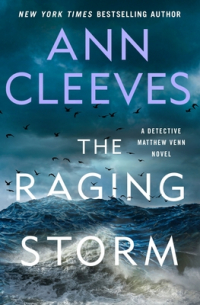 Энн Кливз - The Raging Storm