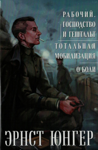 Рабочий. Господство и гештальт; Тотальная мобилизация; О боли