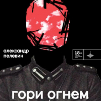 Александр Пелевин - Гори огнем