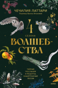 Четыре сезона волшебства. Тайные послания и рецепты, нашептанные лесом