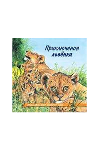 Приключения львёнка