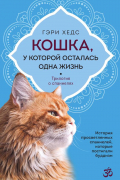 Кошка, у которой осталась одна жизнь