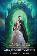 Академия сумерек. Темное пламя