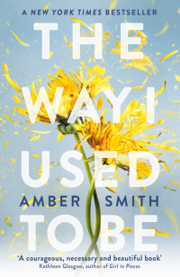 Smith Amber - The Way I Used to Be