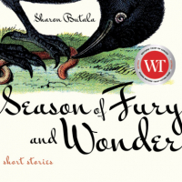 Шарон Бутала - Season of Fury and Wonder (Unabridged)