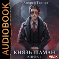 Андрей Ткачев - Князь шаман. Книга 1