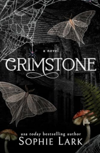 Софи Ларк - Grimstone