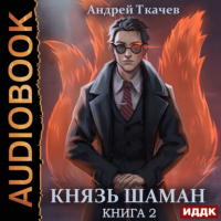 Андрей Ткачев - Князь шаман. Книга 2