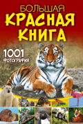 Большая красная книга. 1001 фотография