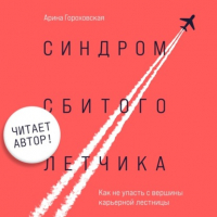 Арина Гороховская - Синдром сбитого летчика. Как не упасть с вершины карьерной лестницы
