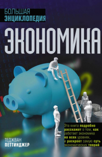 Теджван Петтинджер - Экономика. Большая энциклопедия