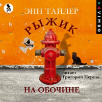 Энн Тайлер - Рыжик на обочине