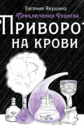 Приключения Руднева. Приворот на крови