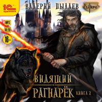Валерий Пылаев - Видящий. Рагнарёк. Том 2