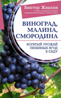 Виктор Жвакин - Виноград, малина, смородина. Богатый урожай любимых ягод в саду