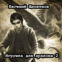 Евгений Щепетнов - Игрушка для дракона. Книга 2