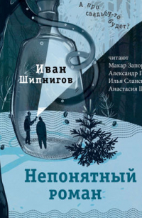 Иван Шипнигов - Непонятный роман