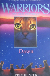 Dawn