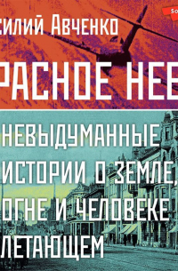 Василий Авченко - Красное небо. Невыдуманные истории о земле, огне и человеке летающем