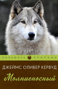 Молниеносный