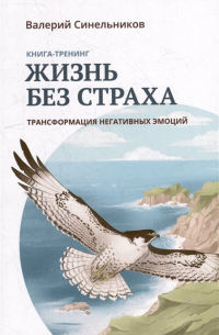 Жизнь без страха. Трансформация негативных эмоций